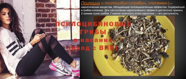 спайс Алексеевка